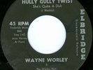 WAYNE WORLEY Hully Gully Twist ROCKABILLY 45 on ELBRIDGE 3762