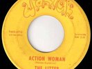 THE LITTER on WARICK - ACTION WOMAN & WHATCHA GONNA DO - MN Garage Psych 45 HEAR
