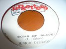 Junior Delgado Sons On Slaves Rare Killer Roots 7