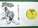 Natural Mystique Generals Dune Label Birmingham Roots Reggae 1982 7