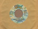 Skip Mahoney - Janice / Dont Stop Me Know