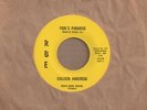 Calleen Anderegg - Fools Paradise - RBE