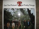 THE PRETTY THINGS - GET THE PICTURE