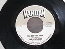 Garage punk 45 record, The Gentlemen,  