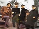 HOLLIES - EVOLUTION - DE 67 - NM