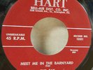ROCKABILLY PHIL CAY & BLUENOTES HART 1001 MEET ME IN THE BARNYARD NM