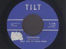 Teddy & The Rough Riders  Tomahawk  AMAZING TITTYSHAKER SURF INSTRO 45 HEAR