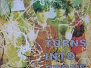 The Stone Roses - Turns Into Stone  LP Original 1992 PROMO Brazil