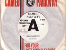 Dee Dee Sharp I Really Love You / Standing In The Need of Love (A Label Demo 45)