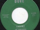 The Companions - Falling /Oh What a feeling - Orig. Rare Northern Soul Dove 240