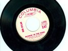 RARE Dylan 45 PROMO Blowing in the Wind
