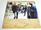 THE PASTELS-SITTIN PRETTY-LP/Vinyl/Record