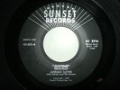 GARAGE ROCKER, ROCKABILLY-