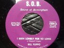 45 RPM Bill Flippo 