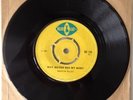 BLUE CAT  -  MARTIN RILEY  / THE SLICKERS - BS 134