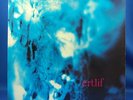ERTLIF same * ORIG * SWISS 1972 Private MELLOTRON PROG PSYCH MONSTER LP Top