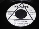 THE BASEMENT WALL  never existed SENATE promo GARAGE PSYCH MONSTER listen