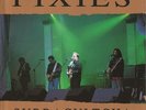 PIXIES  Subbacultcha COLOR VINYL BLUE   Unplayed Swingin Pig  LIKE NEW UNPLAYED