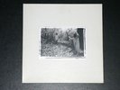 SUNN O))) WHITE BOX 3XLP PIC LTD 121/500 RARE EARTH BURNING WITCH BORIS