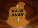 KATE BUSH Interview 1985 Vinyl SHAPED PICTURE DISC Baroque Pop GOTH progressive