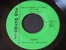 USAries on New Detroit   RARE electronic soul / funk 45 HEAR Johnnie Walker