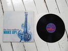The Boo Radleys 'Wake Up' Vinyl gatefold LP (1995/orig press).