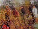 Spooky Tooth 