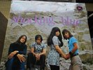 SHOCKING BLUE  RARE LP   THE BEST OF  ON PINK ELEPHANT  BELGIUM