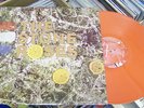 The Stone Roses lp Orange  Vinyl Mint cond  Oasis Brit Pop Blur Pulp