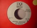 RICK McCLELLAN Frozen Sunshine DJ PROMO on Quad PSYCH  Hear Track