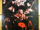 The Litter, Distortions - Original Warick, 1967 Pressing, 671A
