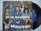 il MUCCHIO-