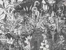 VISITATIONS - S/T -folk/psych - NEW LP 180 gr