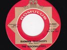Virginia NORTHERN Soul/Doowop ROCKMASTERS Raining Teardrops ROMULUS M- DJ HEAR