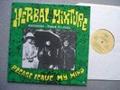 LP  Herbal Mixture  Tony McPhee  Please leave my Mind   Distortions Groundhogs