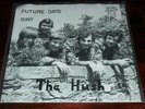 The Hush Giny Austria 60s Le beat Bespoke Garage freakbeat 45 PS orgnl NM