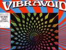 ltd DoLP Vibravoid: Void Vibration (split Vinyl Topzustand