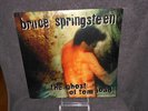 BRIUCE SPRINGSTEEN Ghost Of Tom Joad
