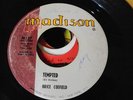 R&B Soul New breed Brice Coefield MADISON 137 (( HEAR )) Tempted / Cha-cha twist