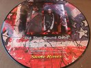 The Stone Roses,Did That Sound Good,Rare uk picture disc L.P. ian brown