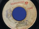 2012 RENEGADES-YOU'VE LOST THE LOVE-WHY MAKE ME CRY-MERRITONE REGGAE 45 7