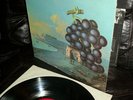NEAR MINT- LP Moby Grape WOW 1st Press NO NAME on Label Columbia – CS 9613 Psych