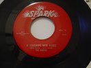 RARE DOO WOP THE ROBINS IF TEARDROPS WERE KISSES SPARK ORIGINAL 45 RPM