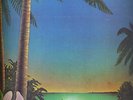 KILLER LP HERMAN CHIN LOY DUB LP # 1 ?