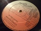 Winston Fergus In Ting Sound Megar Rare Killer Digi 12