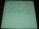 Fungus rare '74 LP Fungus on Negram  mint-   Dutch Folk & folkrock killer