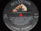 Elvis 