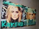 ANDY WARHOL 12” ART COVER DEBBIE HARRY RAREST GREEN VERSION