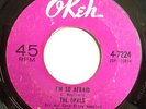 NORTHERN 45-THE OPALS-I'M SO AFRAID /RESTLESS DAYS