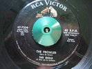 HORROR DOO WOP THE IDOLS 
